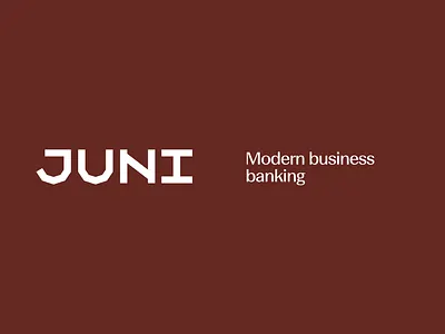 Designing the next chapter for Juni brand identity brand strategy branding product design ui visual design
