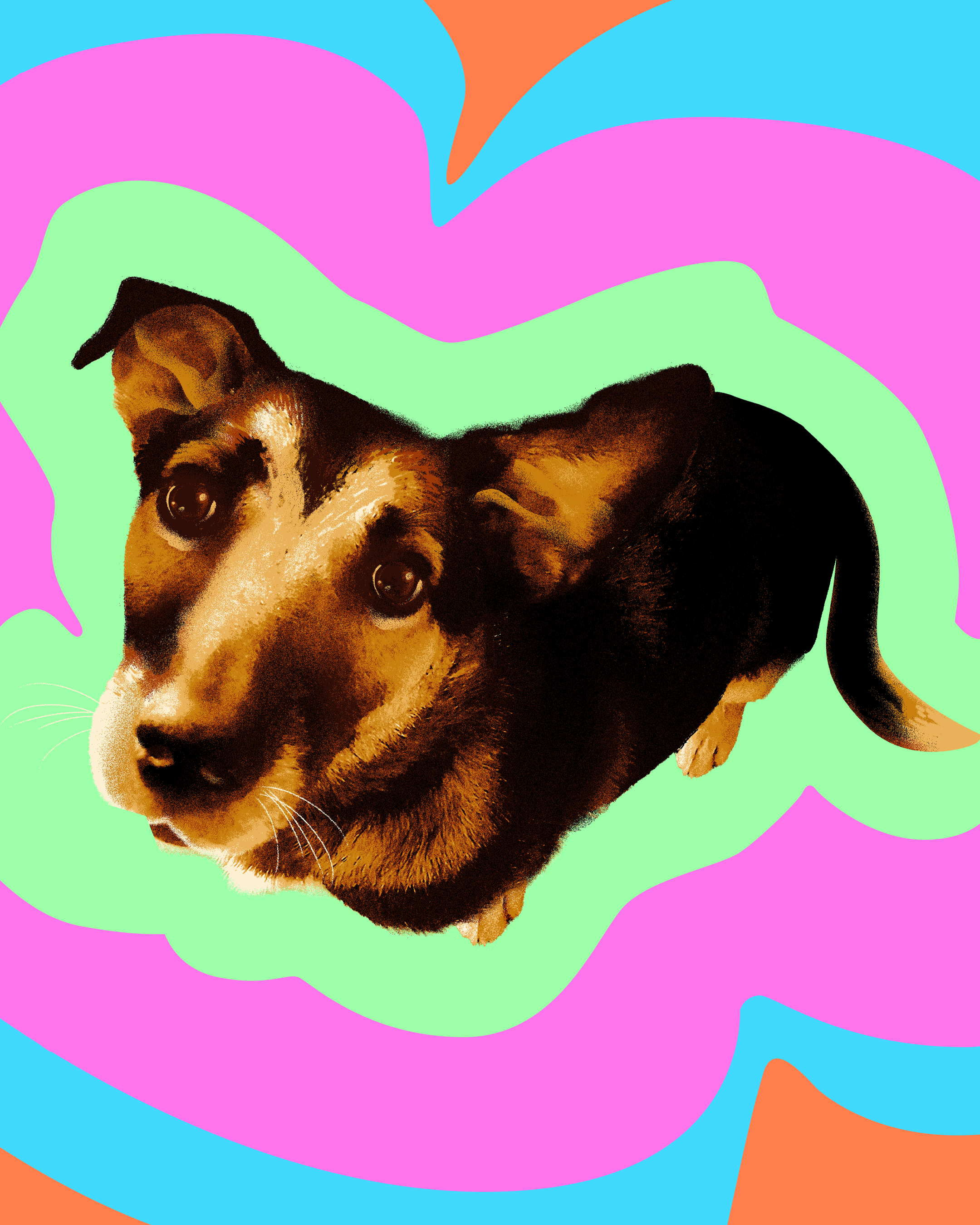Pixel color dog grain illustration magenta pixel portrait psychedelic sticker texture