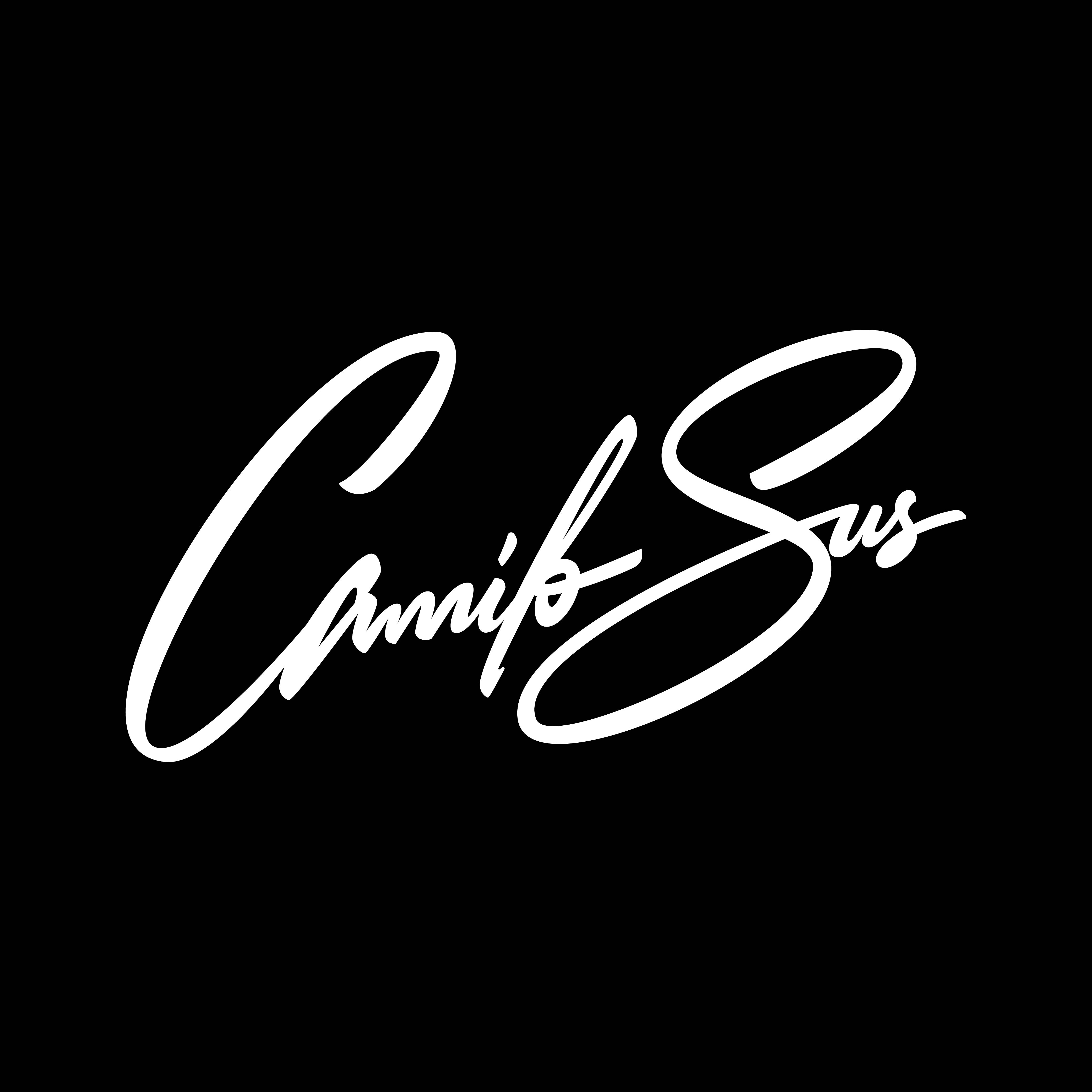 Example of Hand Drawn Signature Logo Design