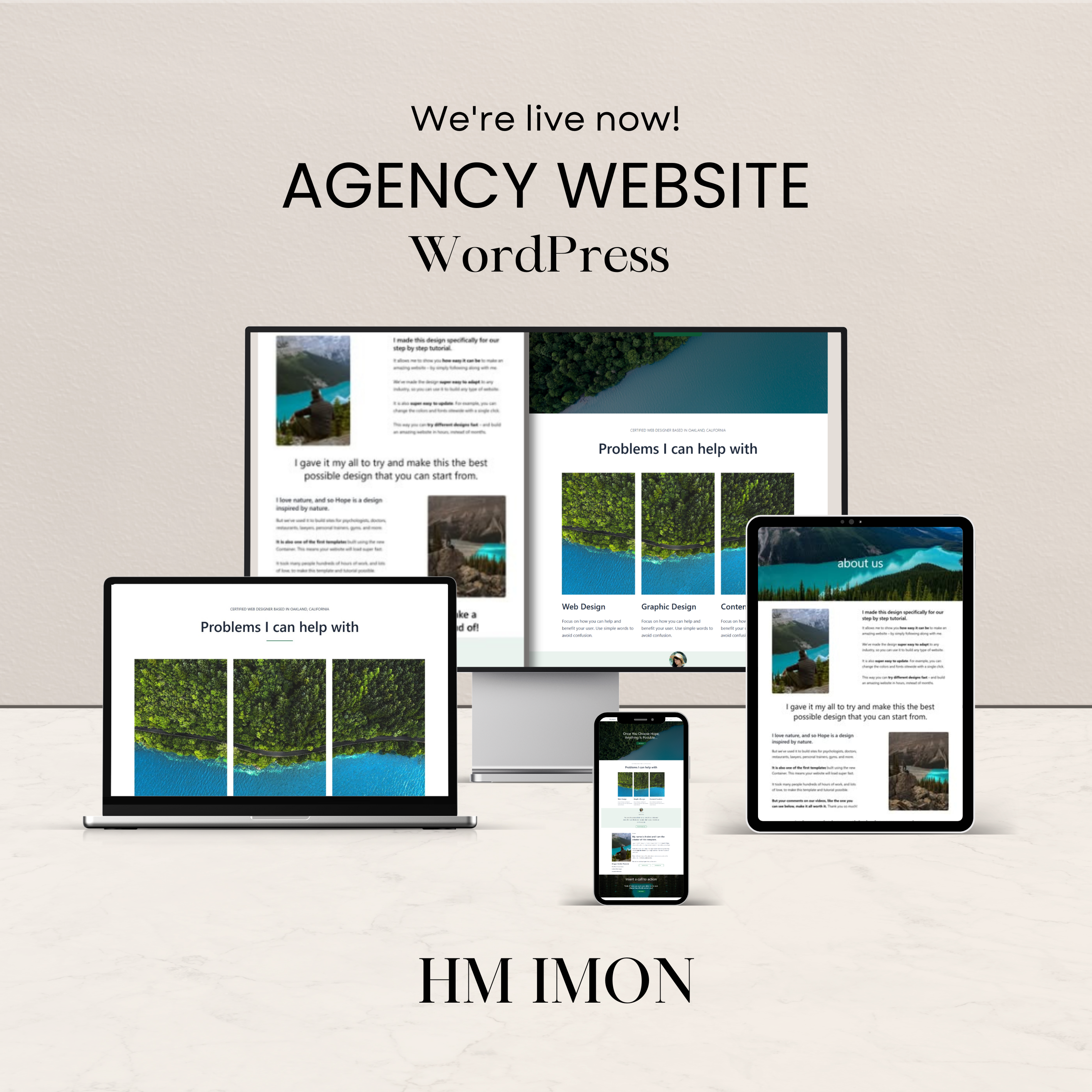 Example of I Will Build Agency Website In Word Press