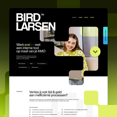Bird Larsen — Custom low code tools agency low code web development webdesign webflow website