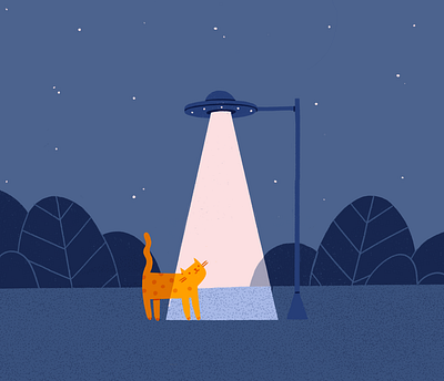 Light cat character curious evening illustration landscape light mystery mystic night procreate ray street lamp texture ufo