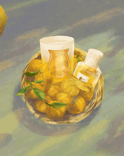 Trudon - Isla De Oro animation branding concept art illustration motion graphics