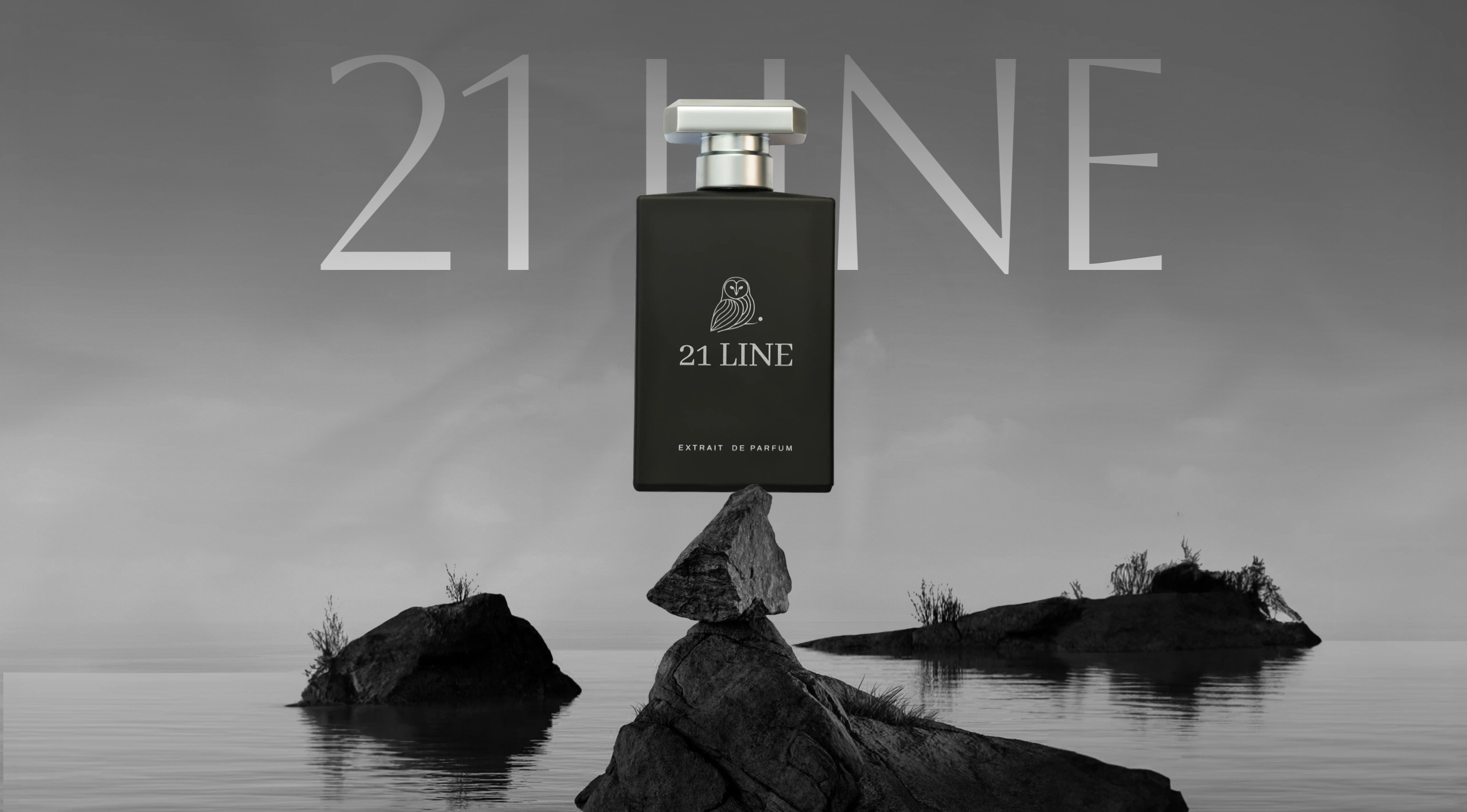 Example of Landing Page Design