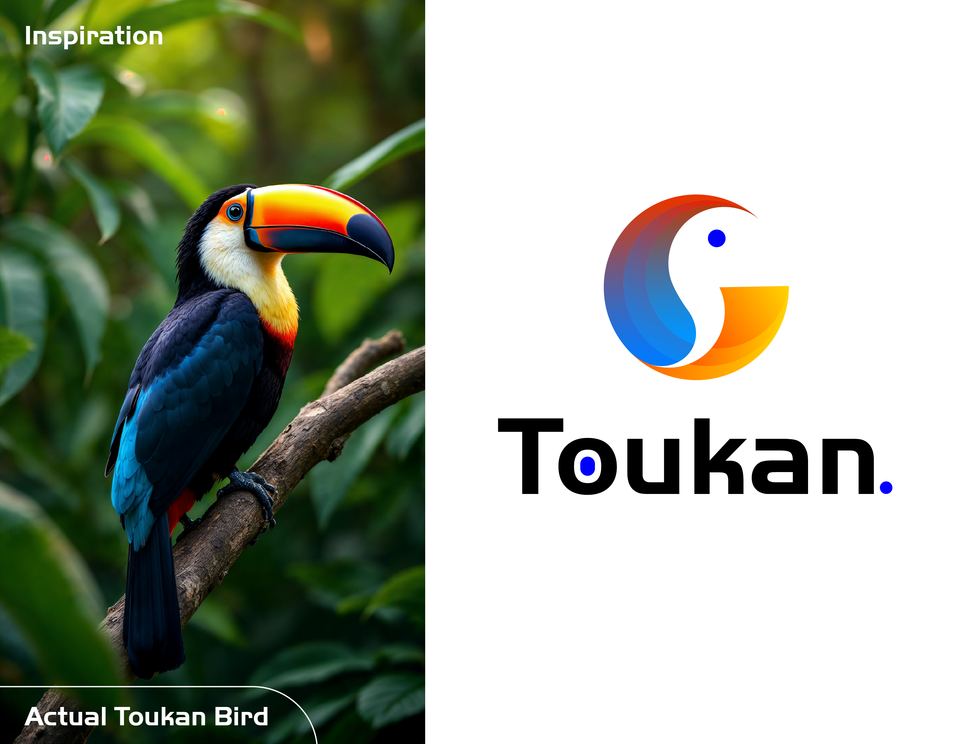 Toukan Logo | Toukan the next level crypto wallet logo design bard logo bird logo brand identity branding crypto crypto logo crypto wallet designofly graphic design logo logo crypto logo design toukan toukan bird toukan logo toukan logo design wallet design wallet logo wallet logo design wallet toukan