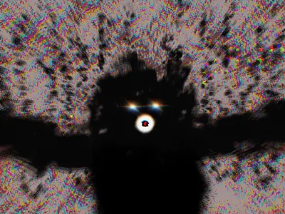 Demon bear design graphic design illustration