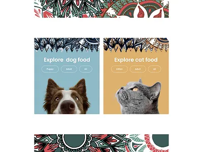 Modern and Vibrant Pet Care Website! front end