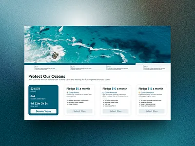 032 | Crowdfunding Campaign campaign crowdfunding dailyui design donations fundraiser non profit ocean product design ui ux
