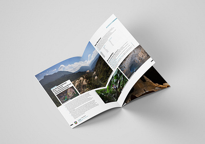 World Bank Laos Landscapes and Livelihoods Prospectuses editorial design indesign layout photoshop print design print production typesetting typography