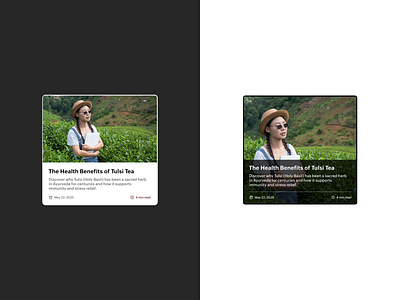 Latest Articles Card Comparison articles card card design comparison lastest articles typography ui ux