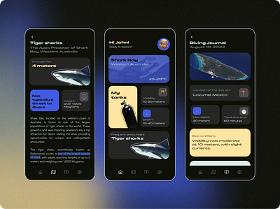 Mobile application for divers application design mobile ui ux