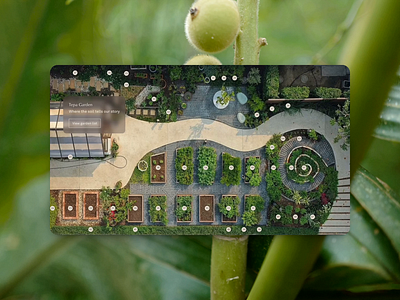 Interactive Garden ui user experience web design