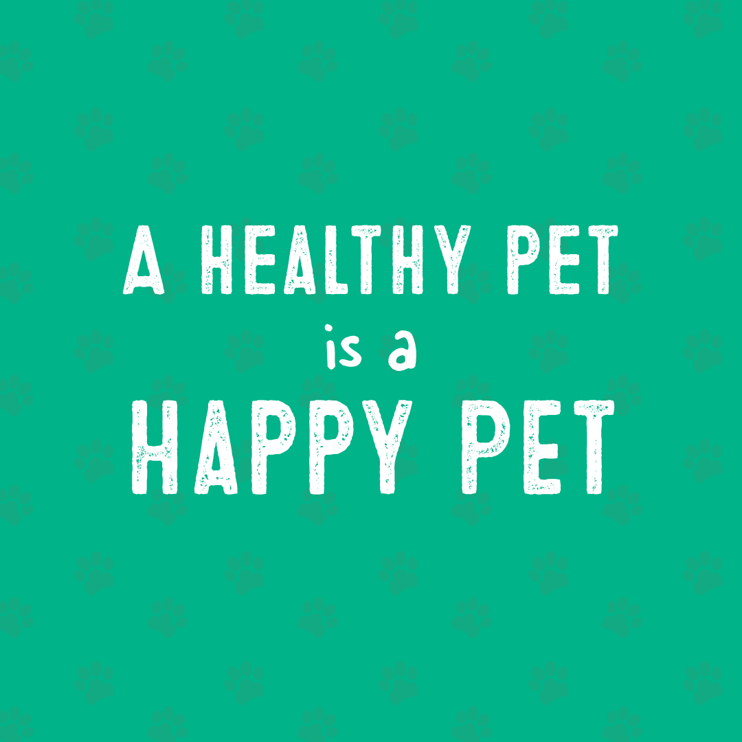 Happy go healthy sales pets