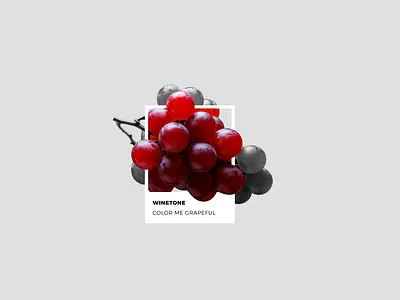 Collage Winetone Grapes collage design easy grape grapes illustration tranding ui
