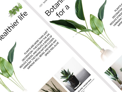 E-commerce online store brandidentity cleandesign design digitaldesign ecommerce florist flowershop interface minimaldesign modernui onlinestore productdesign shopwebsite ui uxdesign visualdesign webdesign webexperience webui