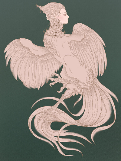 Harpies design illustration графика концепт портрет птица цифровой арт