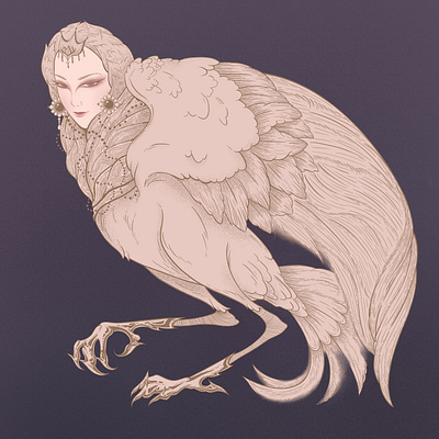 Harpies graphic design illustration графика концепт птица цифровой арт