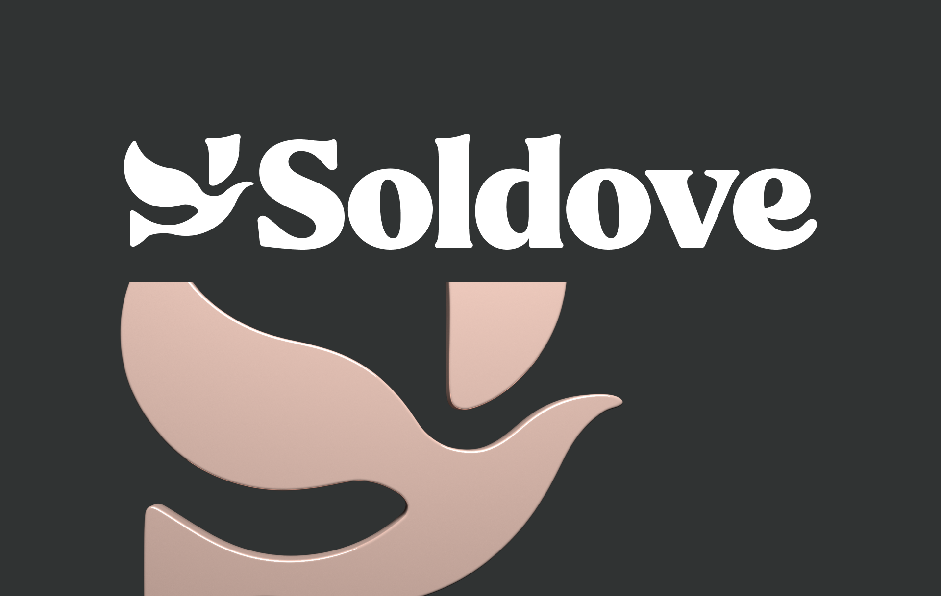 Soldove | Logo & Packaging design brand design brand identity branding design graphic design illustration logo package