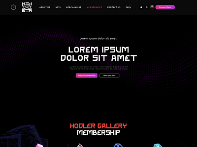 HodlerGallery Membership Web Design app design dark dashboad design graphic design homapege homepage logo member membership product product design ui ux webdesign website