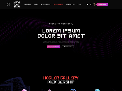 HodlerGallery Membership Web Design app design dark dashboad design graphic design homapege homepage logo member membership product product design ui ux webdesign website