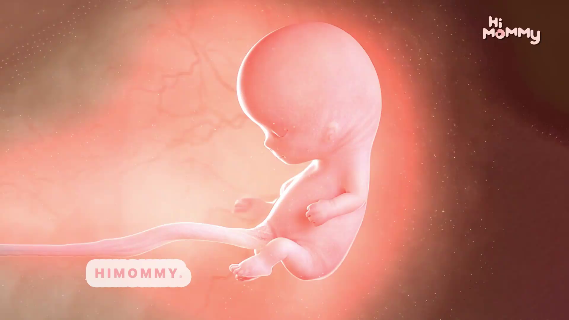 Example of 2d Animation, Video Explainer, Video Ad