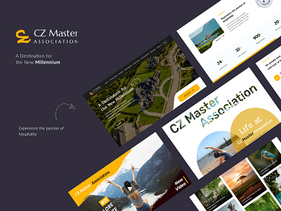 CZ Master - UI/UX Design design illustration ui ux