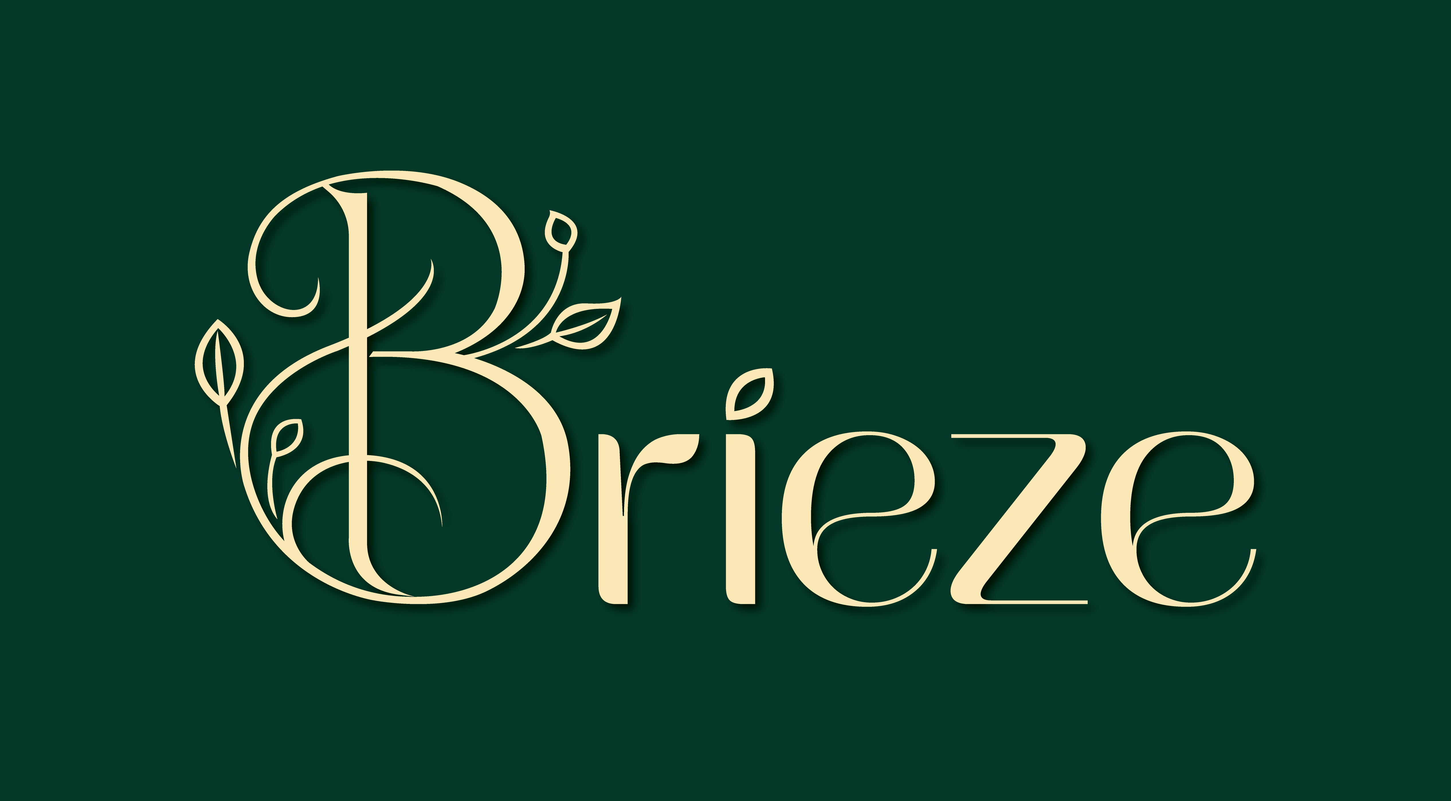 Example of I Will Design Modern Minimalist Logo