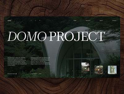 Domo Project webpage architecture figma graphic design web design webflow