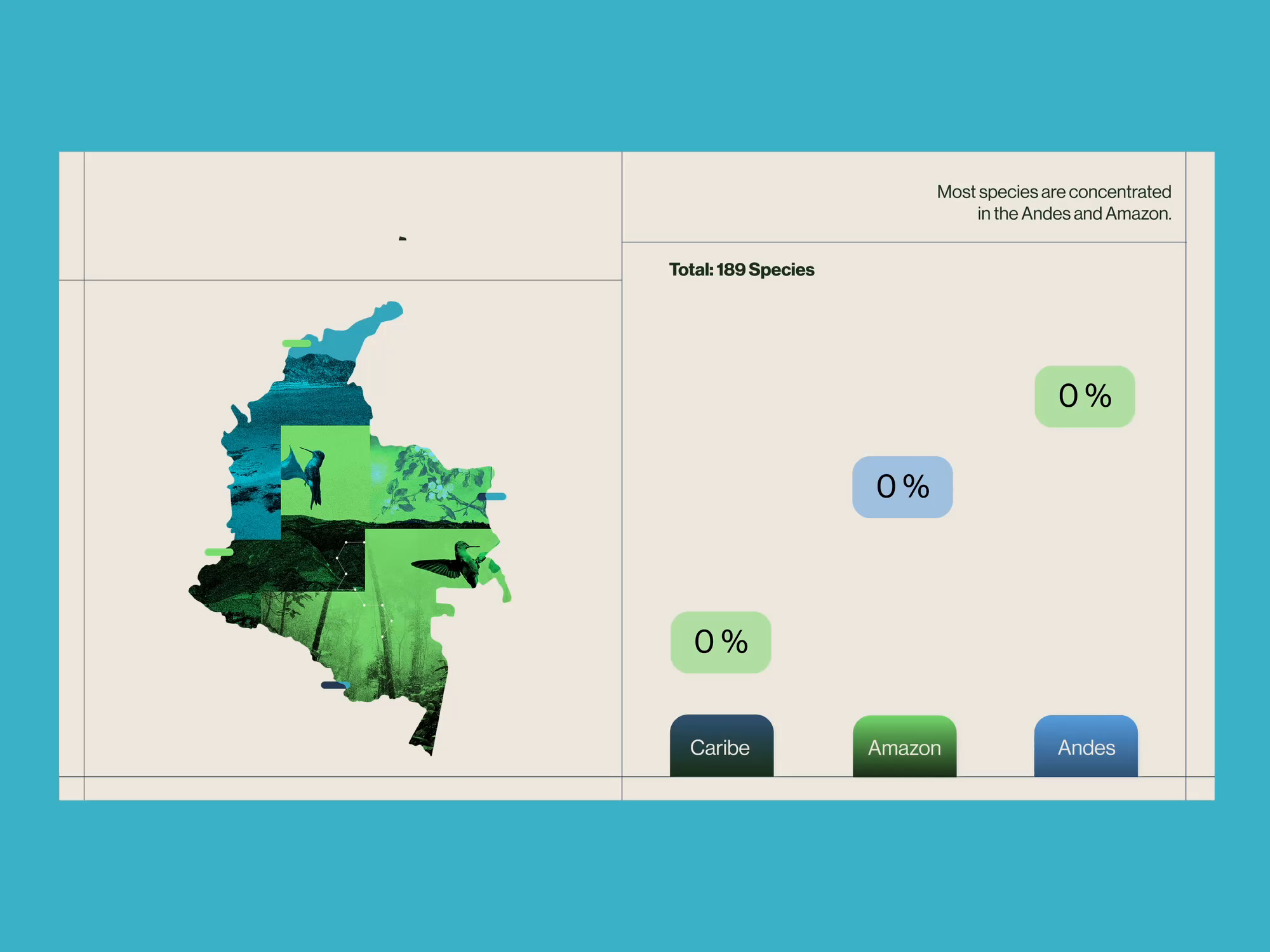 Example of Data Visualization Deck