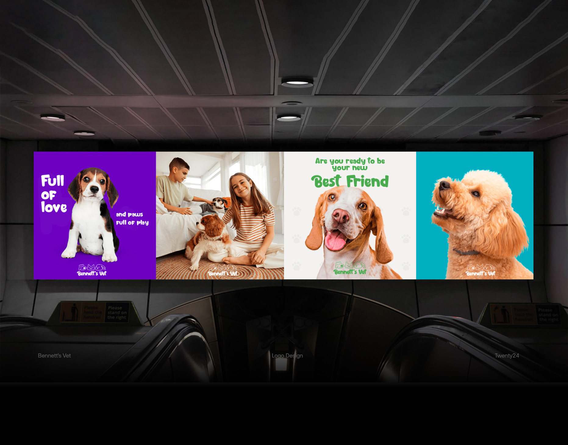 Bennett's Vet Visual Identity animal branding cat clinic dog graphic design hospital logo logo design logotype pet shop shelter vet veterinary visual identity