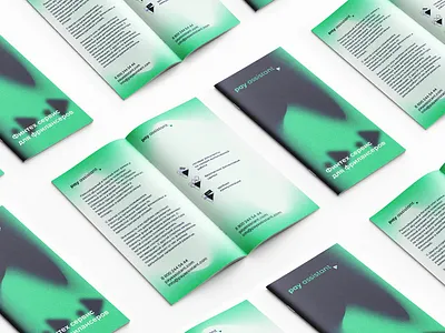 pay assistant brand brandidentity branding design fintech graphic design identity layout logo logomachine logotype