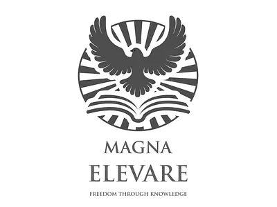 Magna Elevare Bookkeeping service logo brand strategy