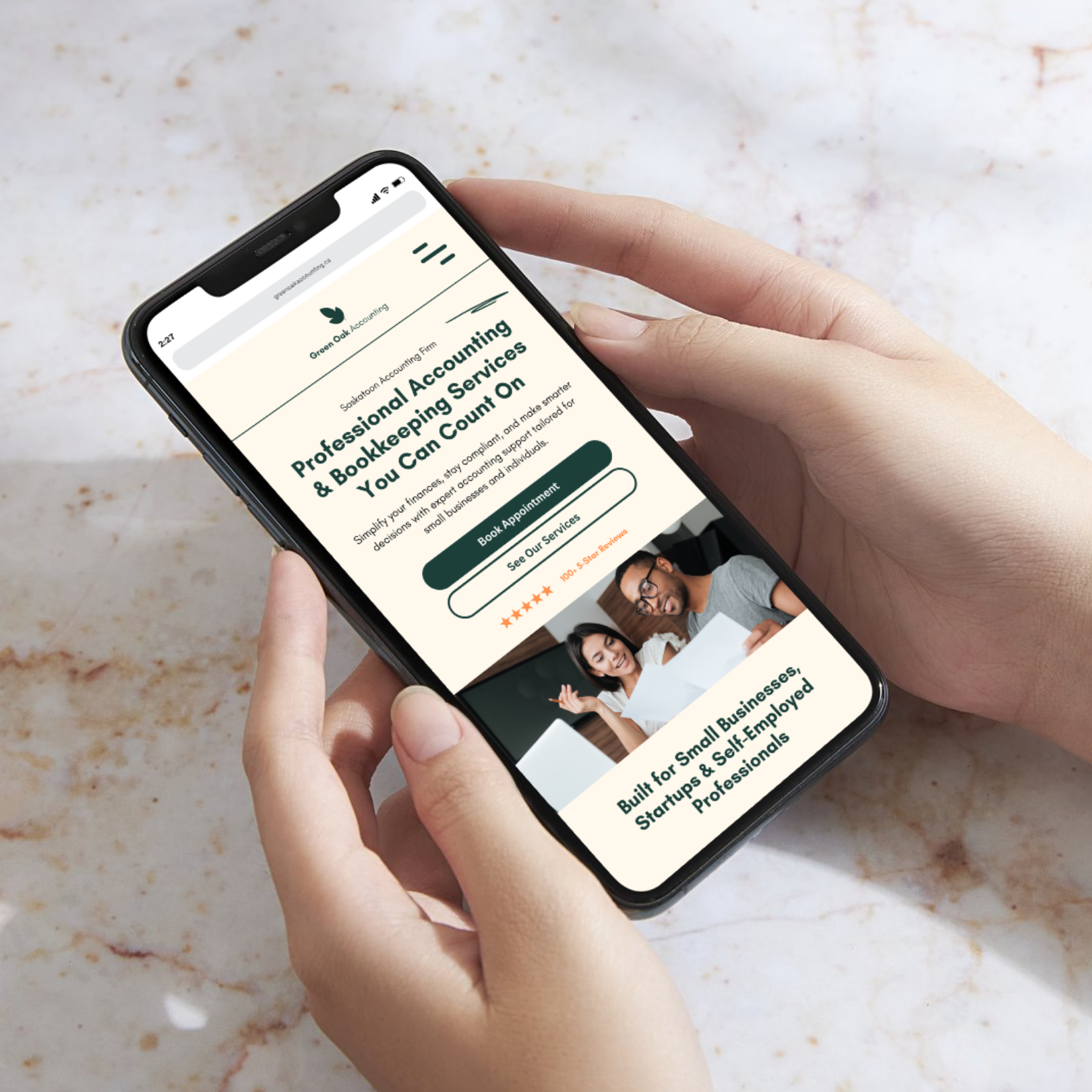 Example of Accounting & Financial Website Project