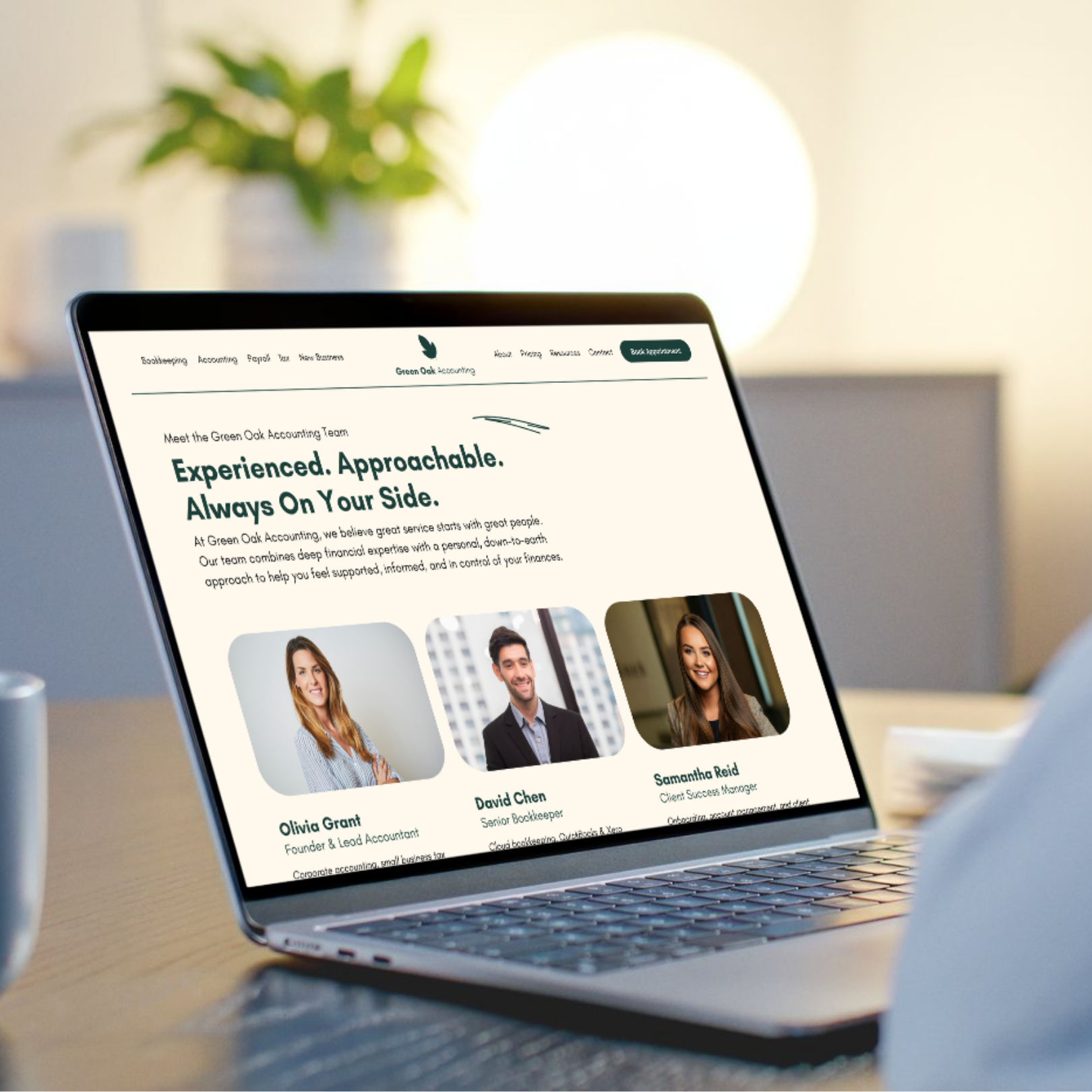 Example of Accounting & Financial Website Project