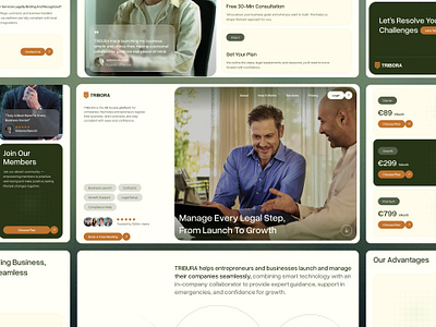 Tribora – Business Legal Services Website Design amazing awesome beautiful best branding business graphic design green landing page law firm legal logo modern start up ui ui design ux design web design webdesign