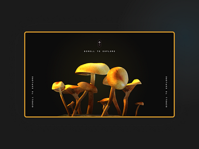 Mushroom Hub - Website Design Concept 3d design product design ui uiux website