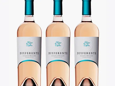 Differente Wine by the Labelmaker best wine label design illustration jordan jelev logo strategic branding the labelmaker wine branding wine label design wine packaging
