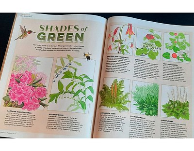 Shades of Green X Sabrina Luoni editorial flower garden realistic watercolor