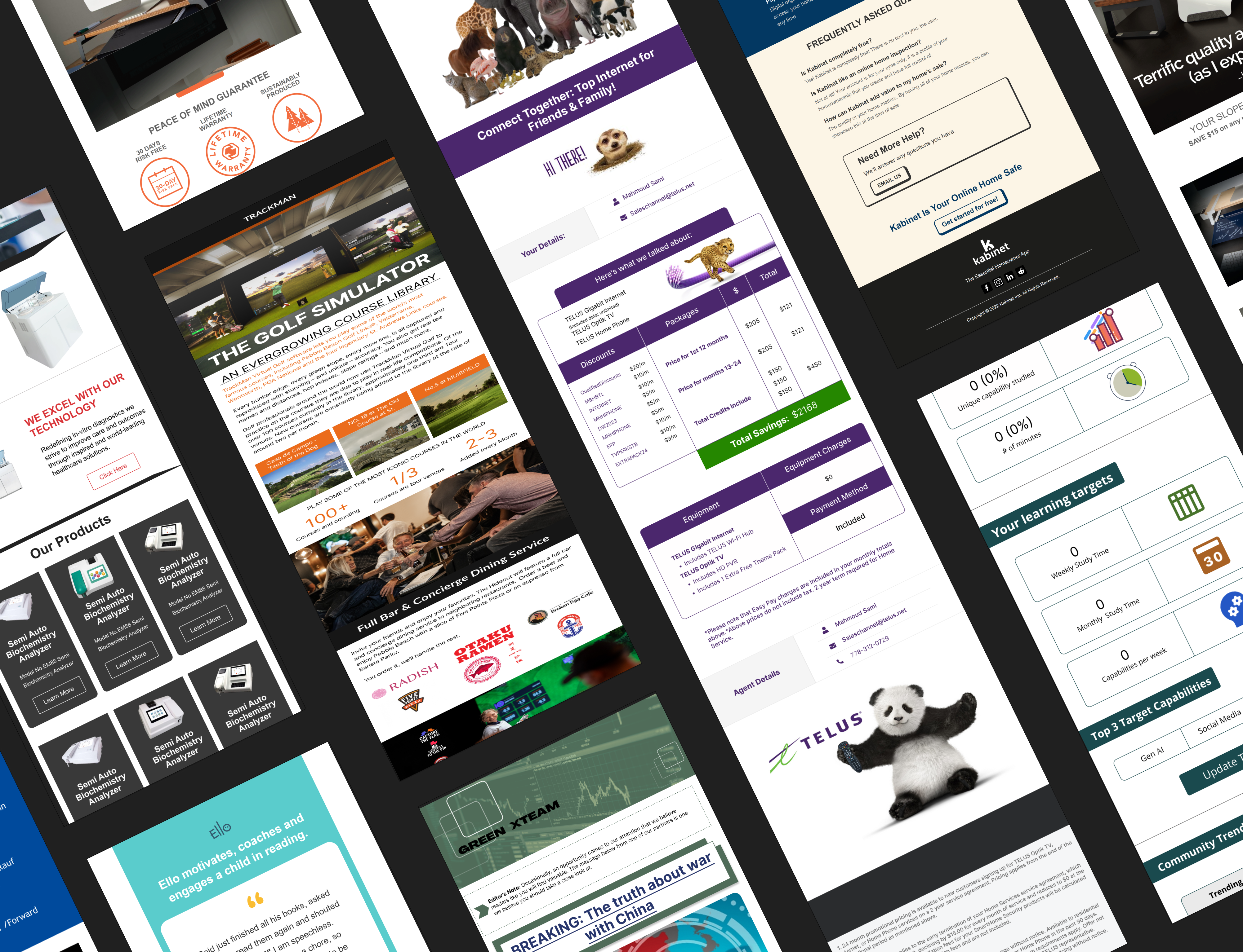 Example of I Will Design Email Templates/Newsletter