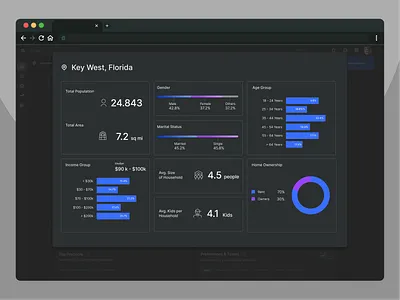 Demographics Analysis city data dashboard data data analysis demographics demography geographical data human