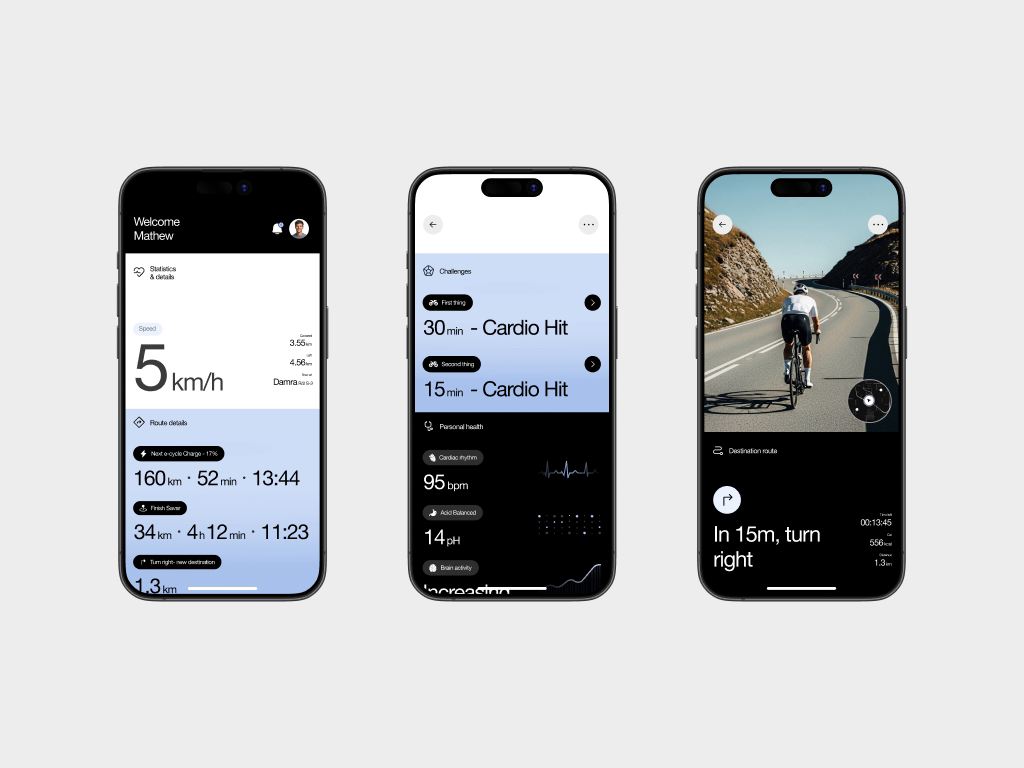 Example of Mobile App Redesign – 10 Screen