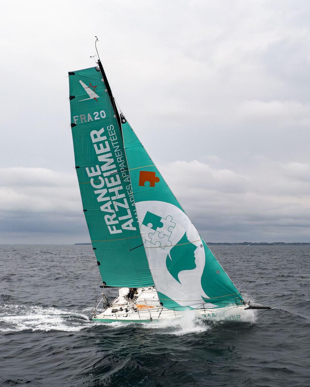 Boat cover artwork boat boatcover digital illustration figaro illustration illustrator paprec pop art race sea