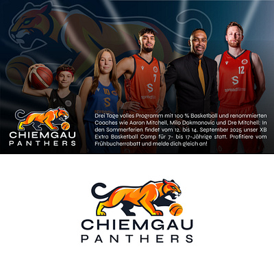Sportorganisation Logo - Chiemgau Panthers angry animal basketball blackpanther branding design forest logo logo design logos panther roaring sport vector wild