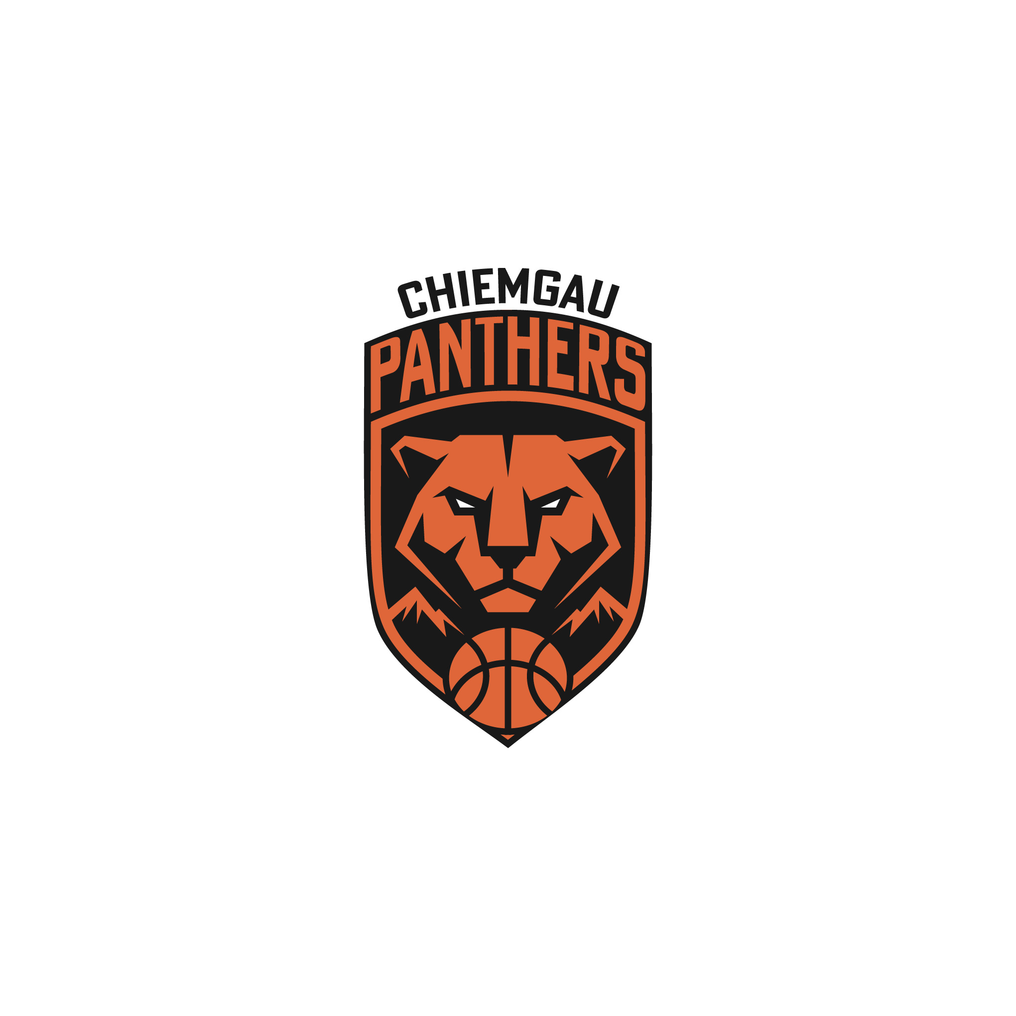 Chiemgau Panthers | Sports Mascot Logo apparel design athletic design badge basketball brand identity branding color palette crest geometric illustrator logo logodesign mascot shield sports design sports logo team branding typography vector visual identity