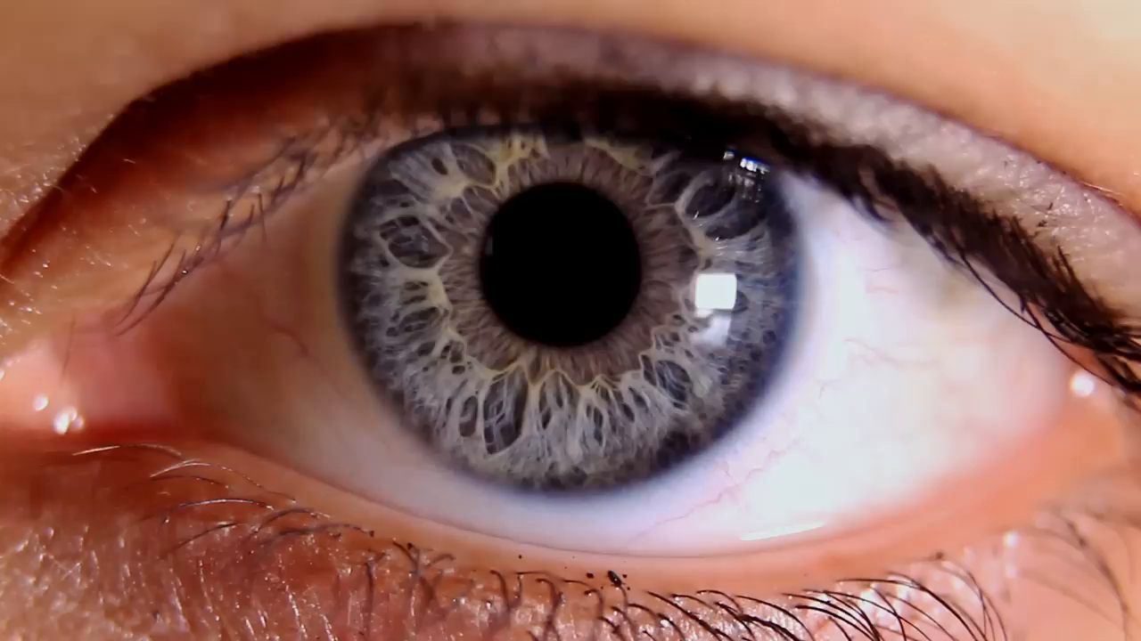 Example of FindYourself