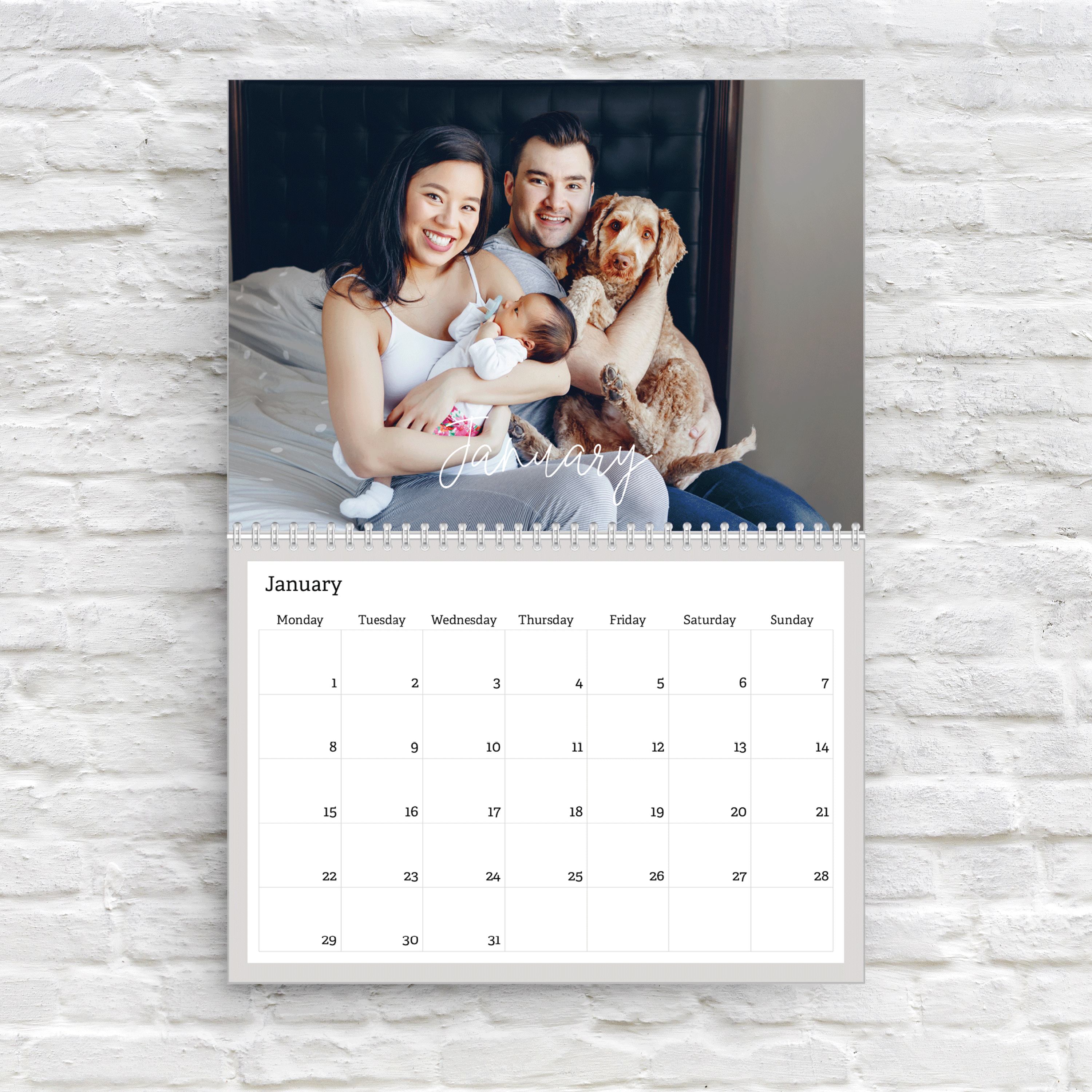 Calendar / Script Overlay calendar graphic design script
