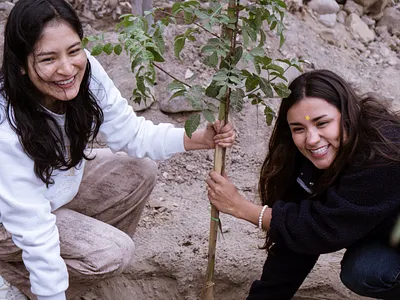 Siembra de Árboles - PGD photography