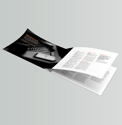 Point-Blank: Art Direction and Brochure Design. art direction brochure design identity design indesign photoshop print production typography