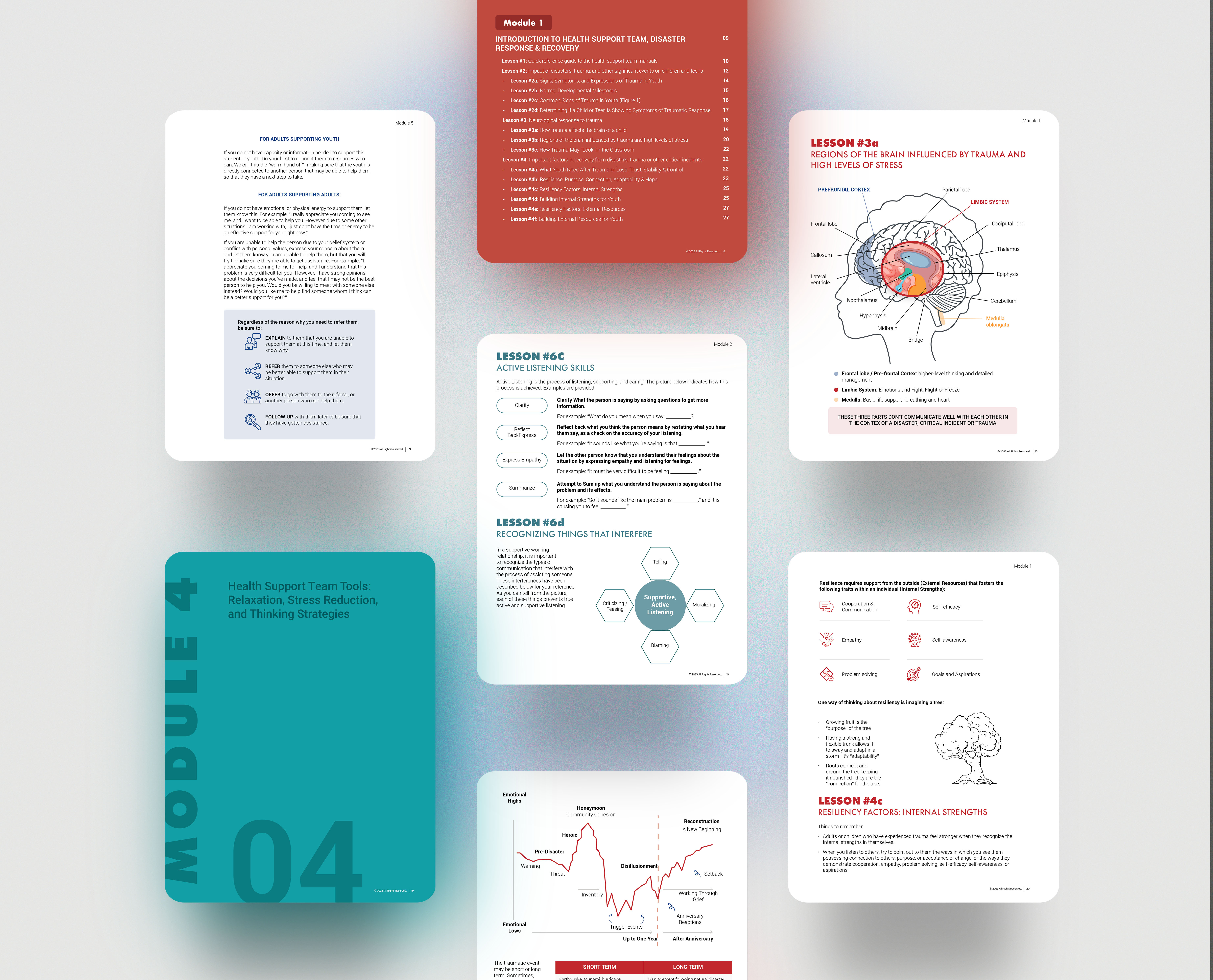 Example of Custom E Book & Brochure Design