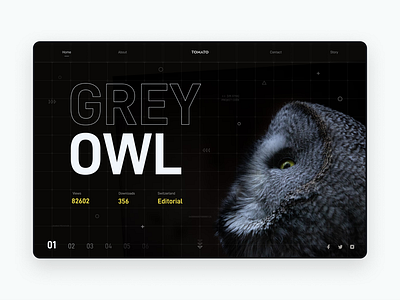 Grey Owl design ui ux web